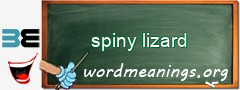 WordMeaning blackboard for spiny lizard